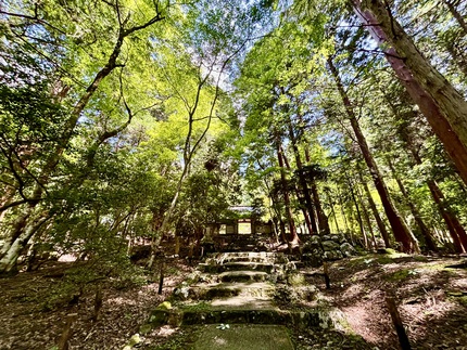 常照皇寺