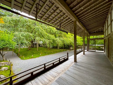 常照皇寺