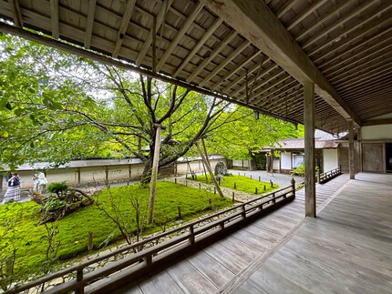 常照皇寺