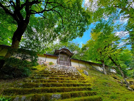 常照皇寺