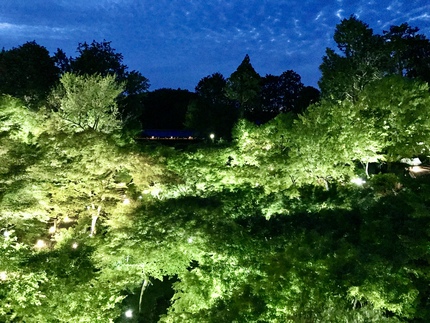 史上初開催！　≪　東福寺　/　青もみじ夜間ライトアップ特別拝観　≫