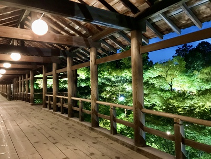 史上初開催！　≪　東福寺　/　青もみじ夜間ライトアップ特別拝観　≫