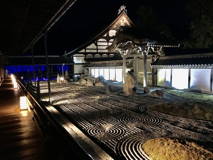 史上初開催！　≪　東福寺　/　青もみじ夜間ライトアップ特別拝観　≫