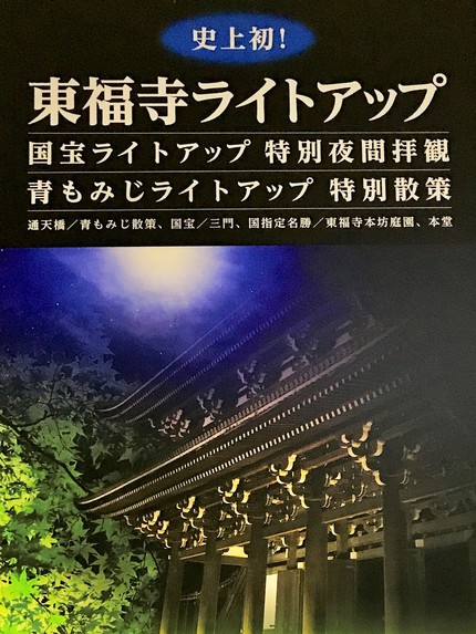 らくたび 若村亮 の 京都の旅コラム 史上初開催 東福寺 青もみじ夜間ライトアップ特別拝観