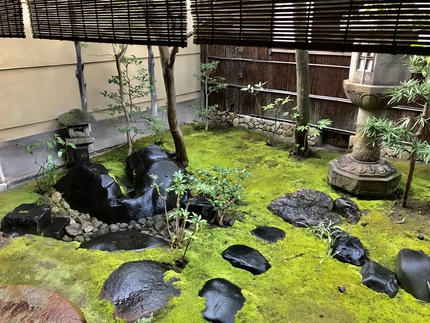 苔に潤い