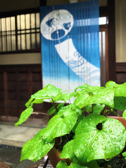 ≪　雨の京町家　≫
