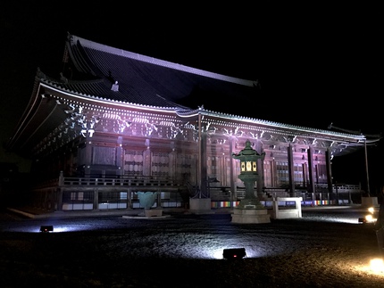 京の夜桜　≪　知恩院　≫