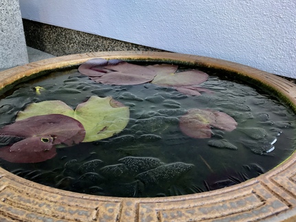 今季一番の冷え込み