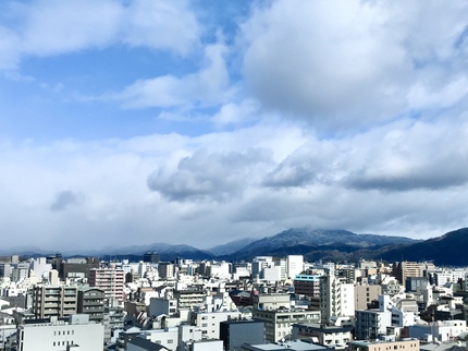 ≪　雪景色 と 散り紅葉　≫