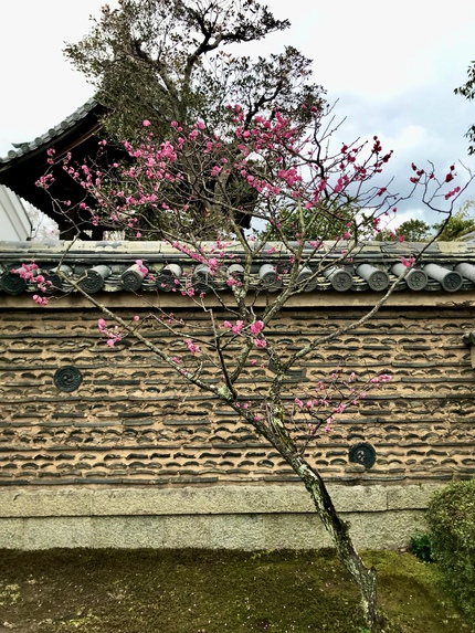 京の冬の旅