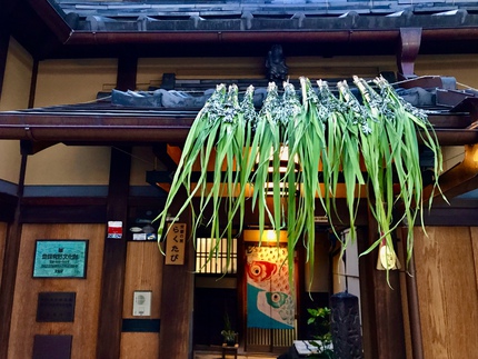 軒菖蒲