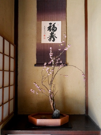 ≪　京町家にも、桜が咲く～♪　≫　in　らくたび京町家