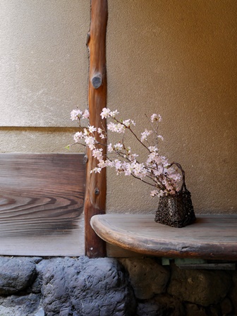 ≪　京町家にも、桜が咲く～♪　≫　in　らくたび京町家