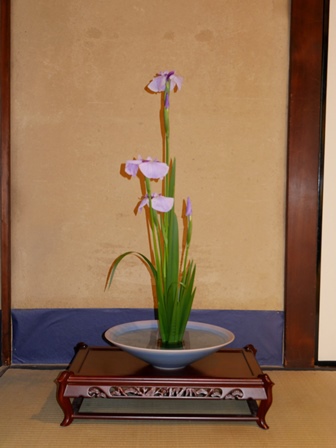 明日2日　≪　菖蒲のゆるり茶会、開催へ　≫　in　らくたび京町家
