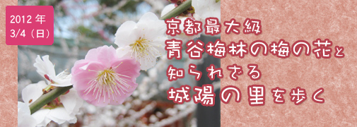 3月4日（日)　青谷梅林の梅の花と知られざる城陽の里を歩く