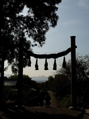 10月16日（日）奈良たび！日本最古の道・山の辺の道を訪ねて