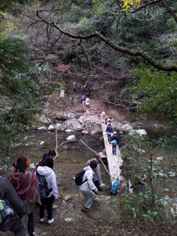 11月23日（水・祝）紅葉の高雄から清滝渓谷へ。川床で京料理
