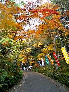 赤山禅院の参道