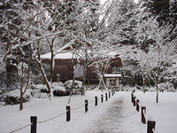 雪