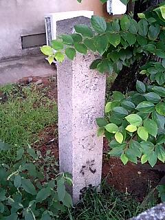 堀川の水辺再生