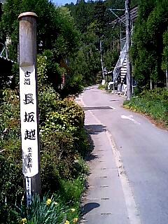 新緑の光悦寺