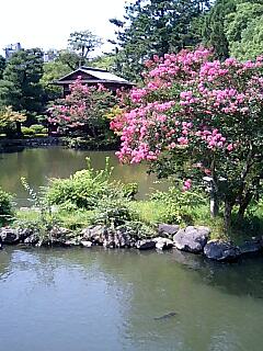 灼熱の京都御苑