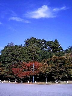 秋晴れ