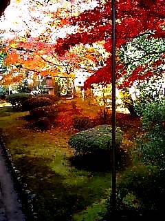 大徳寺・興臨院