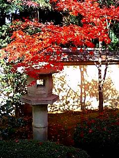 大徳寺・興臨院