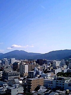 厳しい残暑