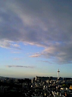 爽やかな朝の時間