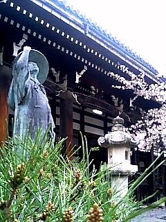 本法寺の桜