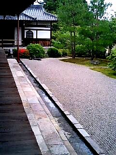 京都の名庭めぐり　≪ 桂春院 ・ 等持院 ・ 龍安寺 ≫