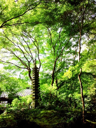≪　八瀬の名庭 ・ 瑠璃光院　≫　特別公開中！
