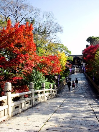 ぶらり散歩　≪　西大谷の紅葉　≫