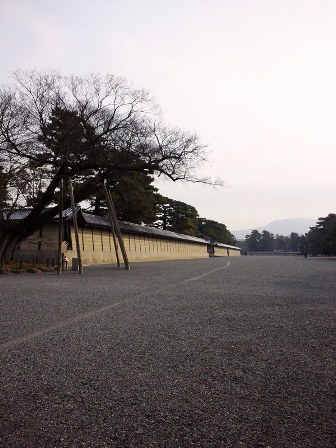 ちらほら♪　≪　梅林 ＆ 桃林　≫　in　京都御苑