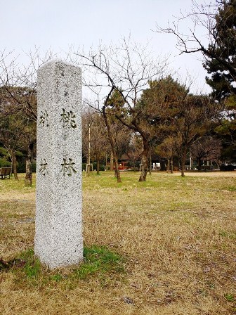 ちらほら♪　≪　梅林 ＆ 桃林　≫　in　京都御苑