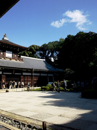 紅葉情報　第8弾　≪　東福寺　≫　11/25（金）