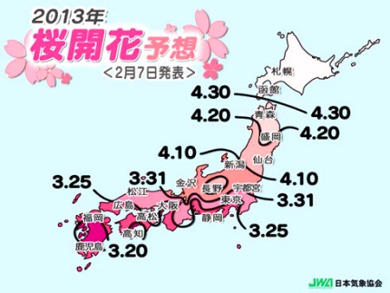 日本気象協会　≪　2013年桜開花予想　≫　－ 第1回 －