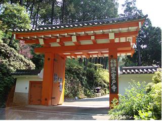 三室戸寺の紫陽花