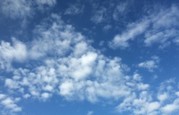 嬉しい報告が続いてます♪