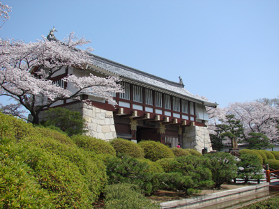 伏見桃山城の桜は満開。