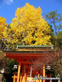 京都の秋を振り返る２