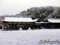 上賀茂さんの雪景色