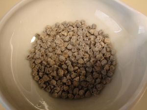 月桃のお茶