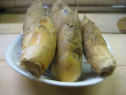 筍
