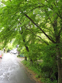足湯