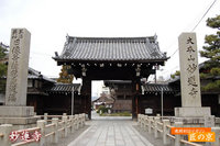 塔頭２７ヶ院を有する大寺院だった「妙蓮寺」