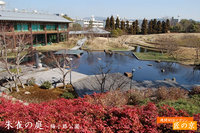 日本庭園と近代デザインのコラボ～「朱雀の庭」