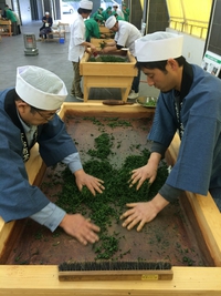 宇治製法手揉み茶保存会